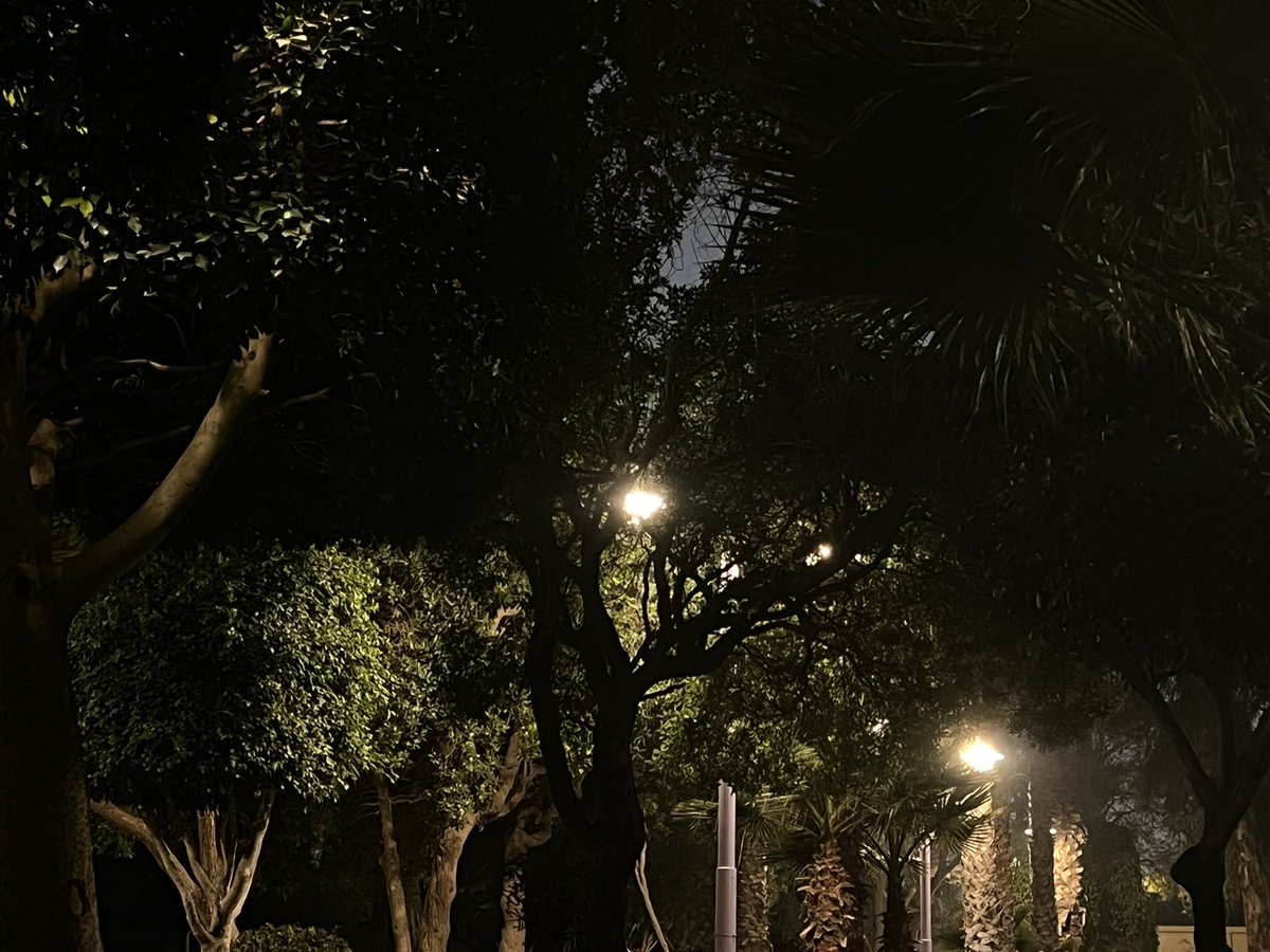 AliceTheshell's tweet image. A place feels like me