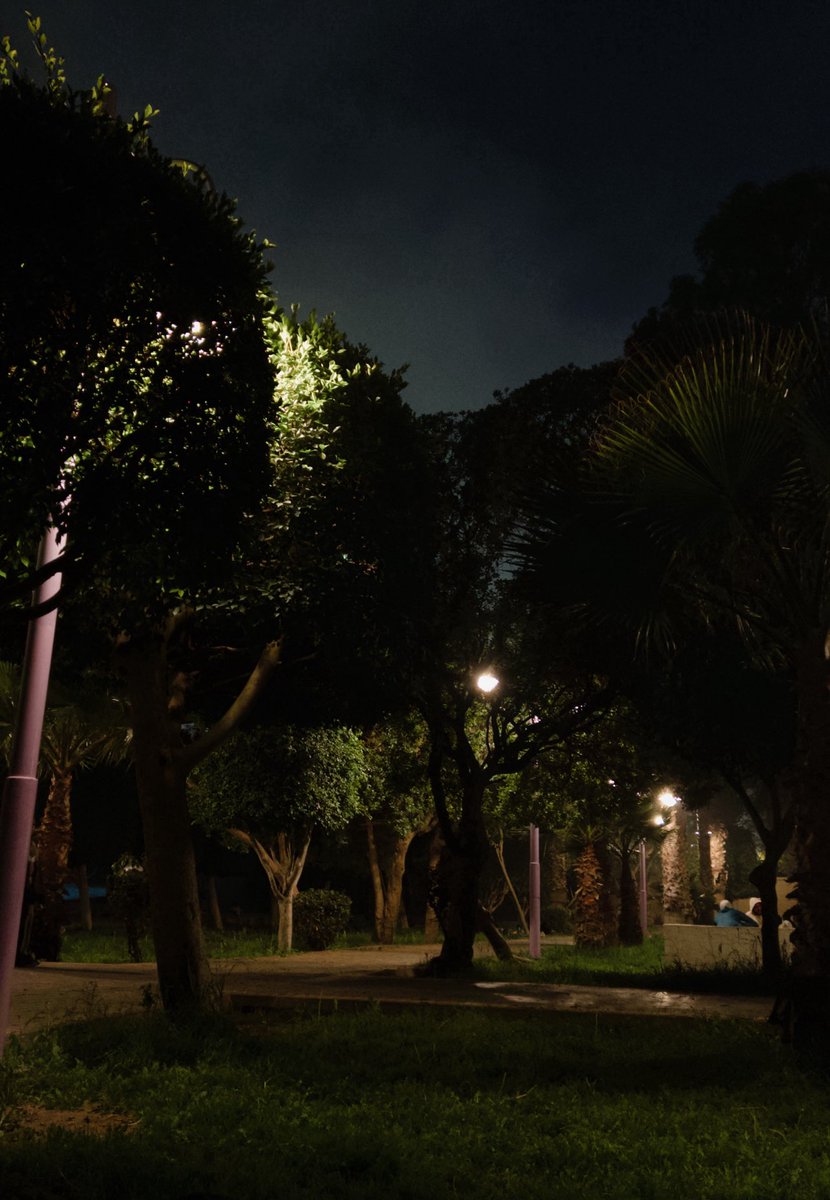 AliceTheshell's tweet image. A place feels like me