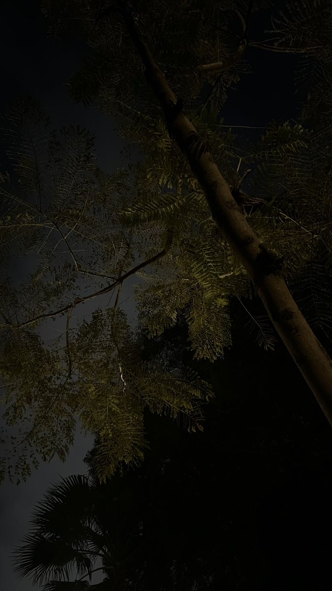 AliceTheshell's tweet image. A place feels like me