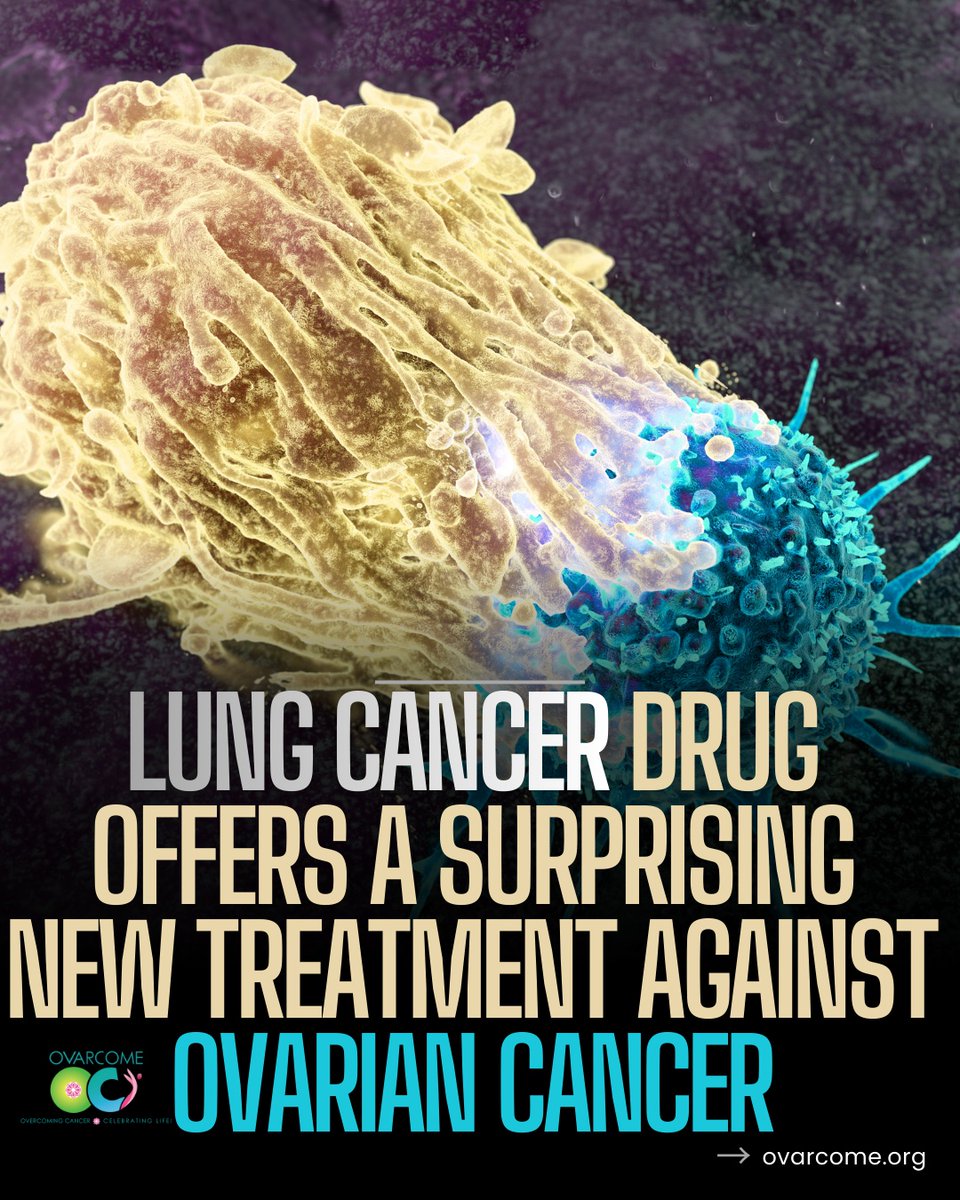 ovarcome's tweet photo. STAY INFORMED.
This promising research by @MayoClinic sheds new light on how #ovariancancer evades treatment, and it points to a promising strategy for improving patient outcomes. #Ovarcome
READ: https://t.co/65rh7jxlPG