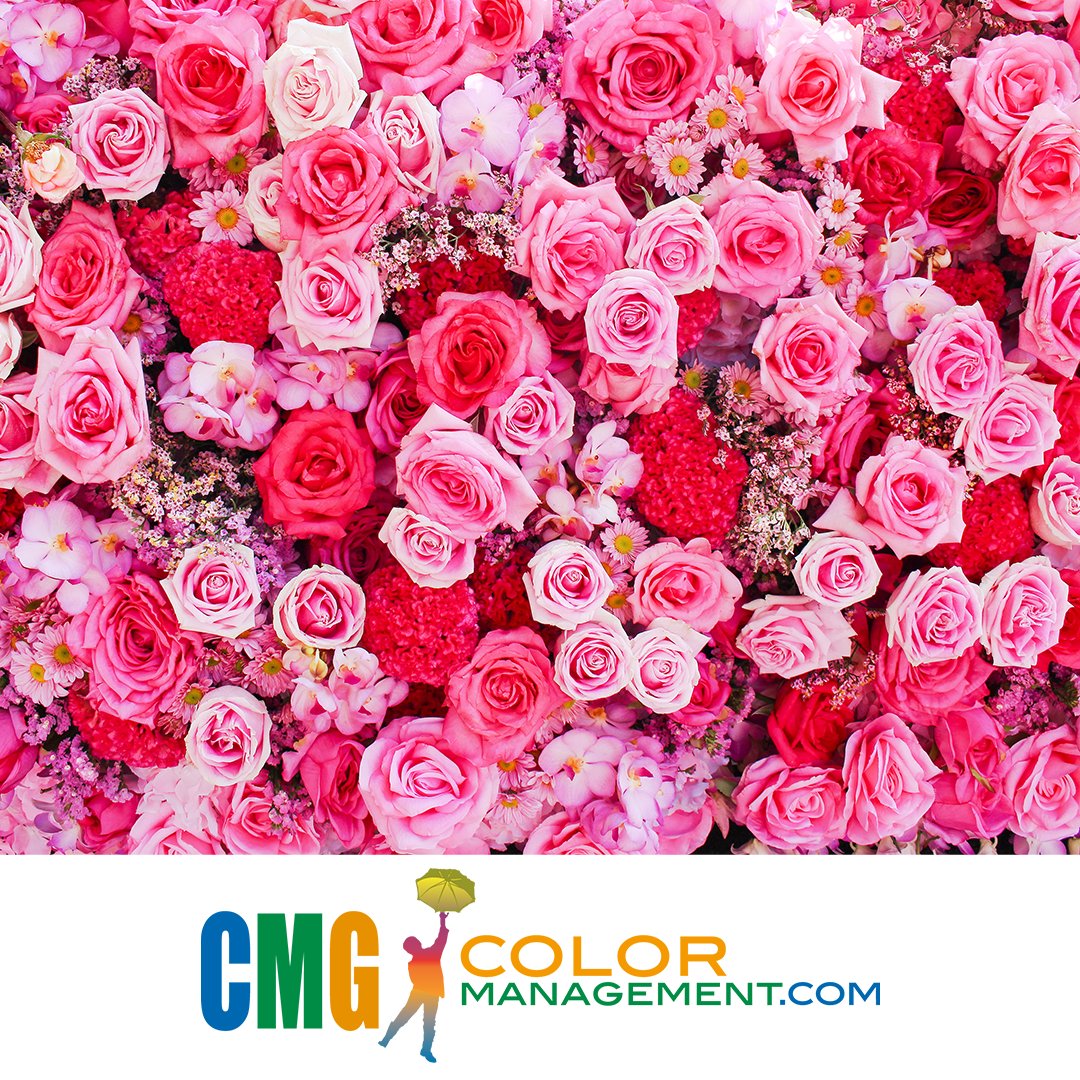 CMGColor's tweet photo. Ever wondered why pink &amp; red are linked to Valentine's Day? In ancient times, red dye was pricey! Gifting red or pink meant affection. Red symbolizes love, warmth, &amp; passion—definitely not anger! What do you think? #ColorFacts #ColorManagement #Printing #Designs #GraphicDesign https://t.co/V6Gxiakjs9