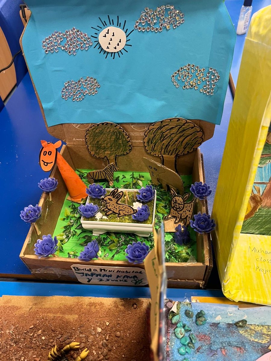 TheOaklandsBham's tweet image. We are so impressed with the home learning projects in Year 1 and 2 for this half term. 
Year 1 focused on animals and life cycles 
Year 2 focused on habitats
#Keystage1 #science