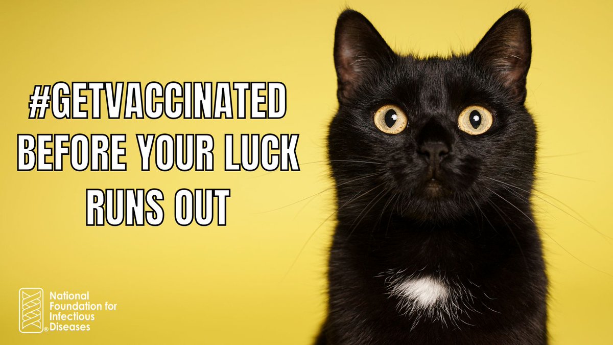 NFIDVaccines's tweet image. On Friday the 13th, don't push your luck! #GetVaccinated and avoid the stress of getting sick. 

#Vaccines are recommended to help protect against potentially serious diseases, including #flu, COVID-19, #measles, and #HPV.

#VaccinesSaveLives