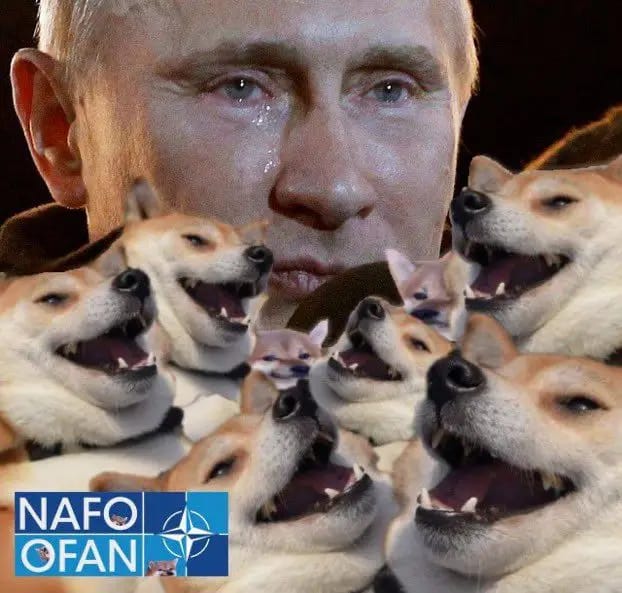 3 good reasons to follow the Fellas:
1. NAFO expansion is non-negotiable
2. The rise of the Fellahood
3. It really pisses off the Major-Orc
x.com/Span1shTapas/s…