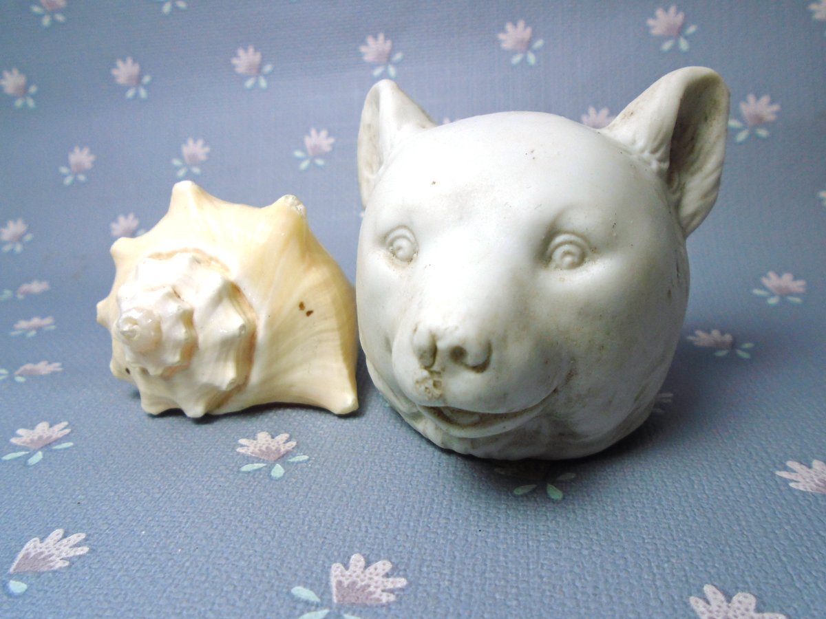 Tiny antique German bisque bear head  centuries of charm perfect for whimsical art or shadow boxes
This antique German bisque porcelain bear head, once a candy container,  Perfect for shadow boxes mixed-media art
✨link in bio
#PorcelainBear #VintageAssemblage #FoundBeauty 🪡🕯️