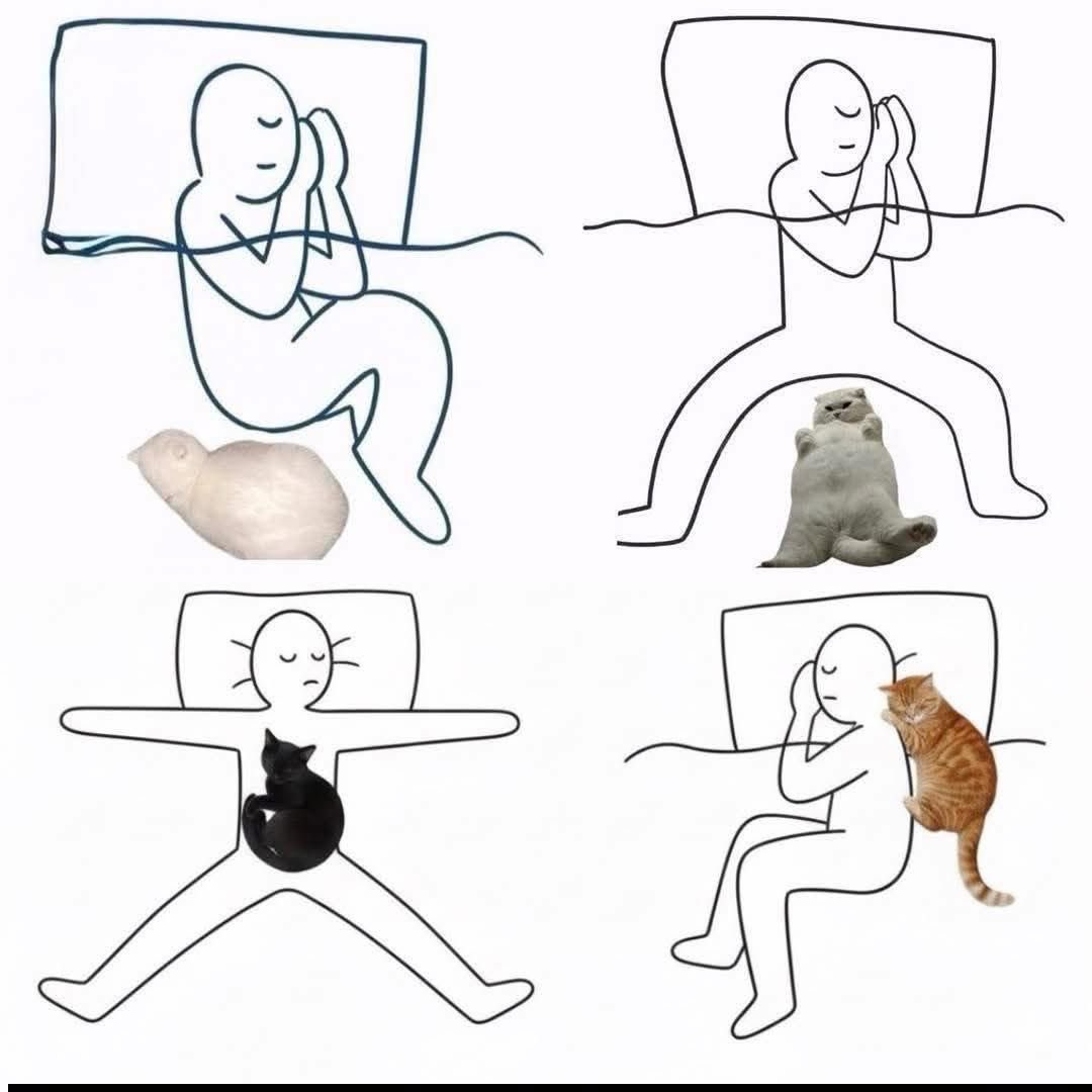 twaniimals's tweet image. 