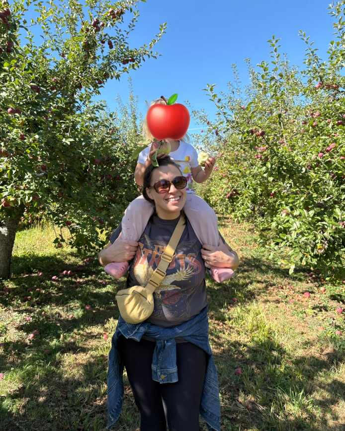 Magnetude Consulting tweet media