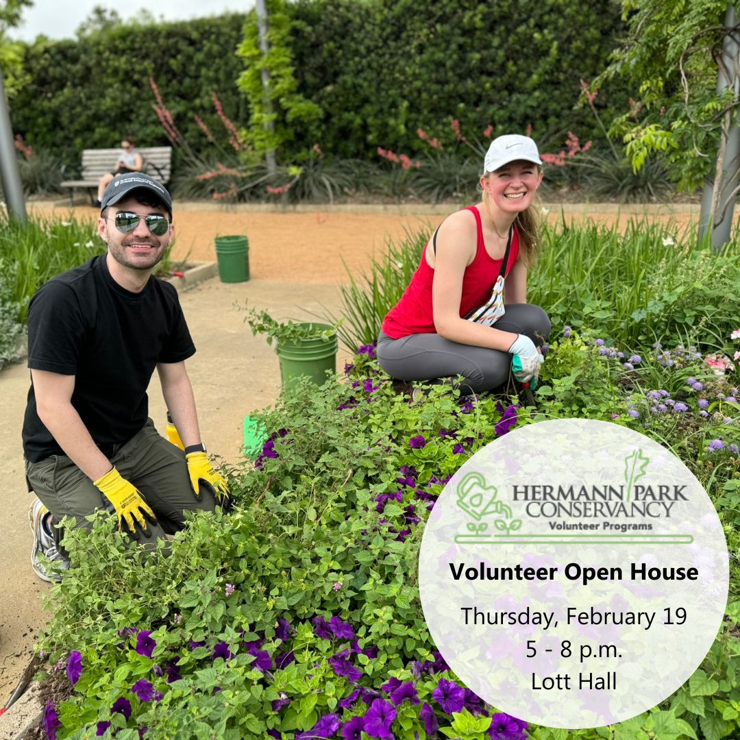 Hermann Park Conservancy tweet media