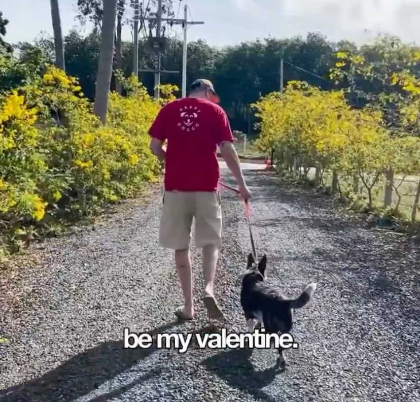 Nick Yada Yada tweet media