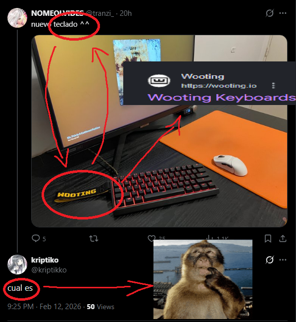tranzi zk6 tweet media