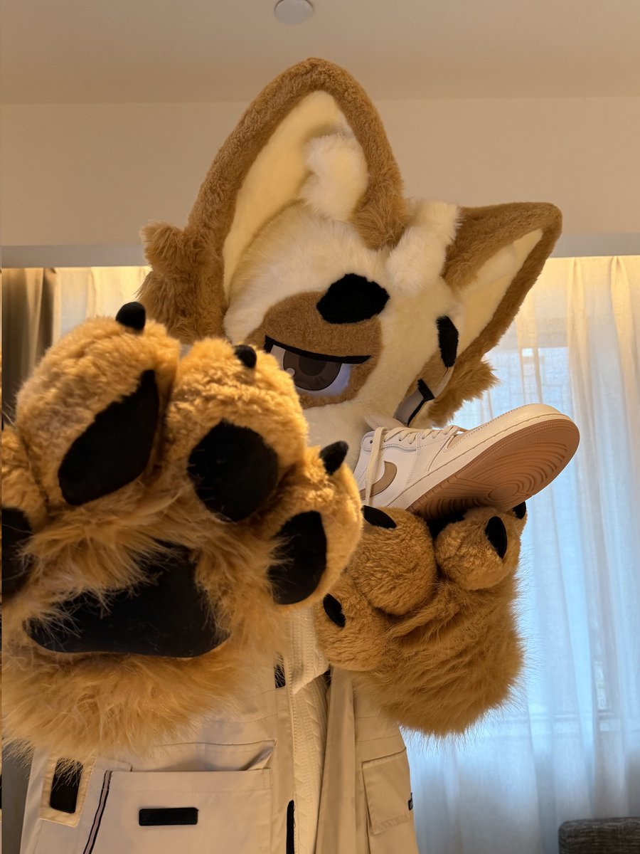 秋狸皋 tweet media