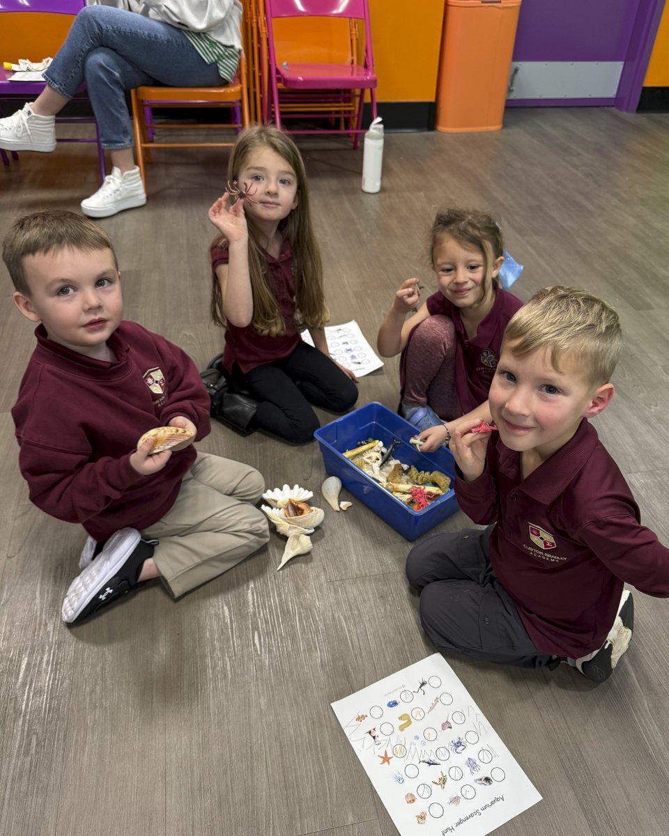 Clayton-Bradley Admy tweet media