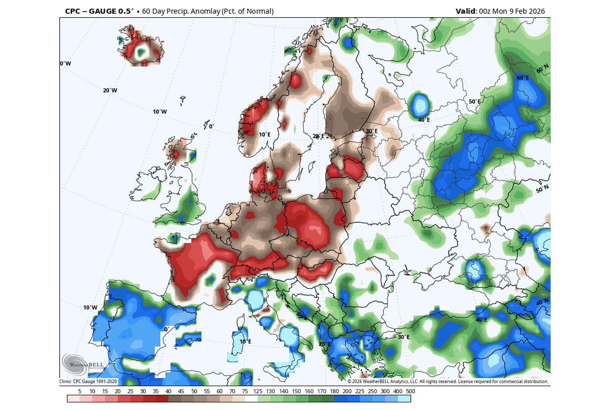 Boris Rasonja tweet media