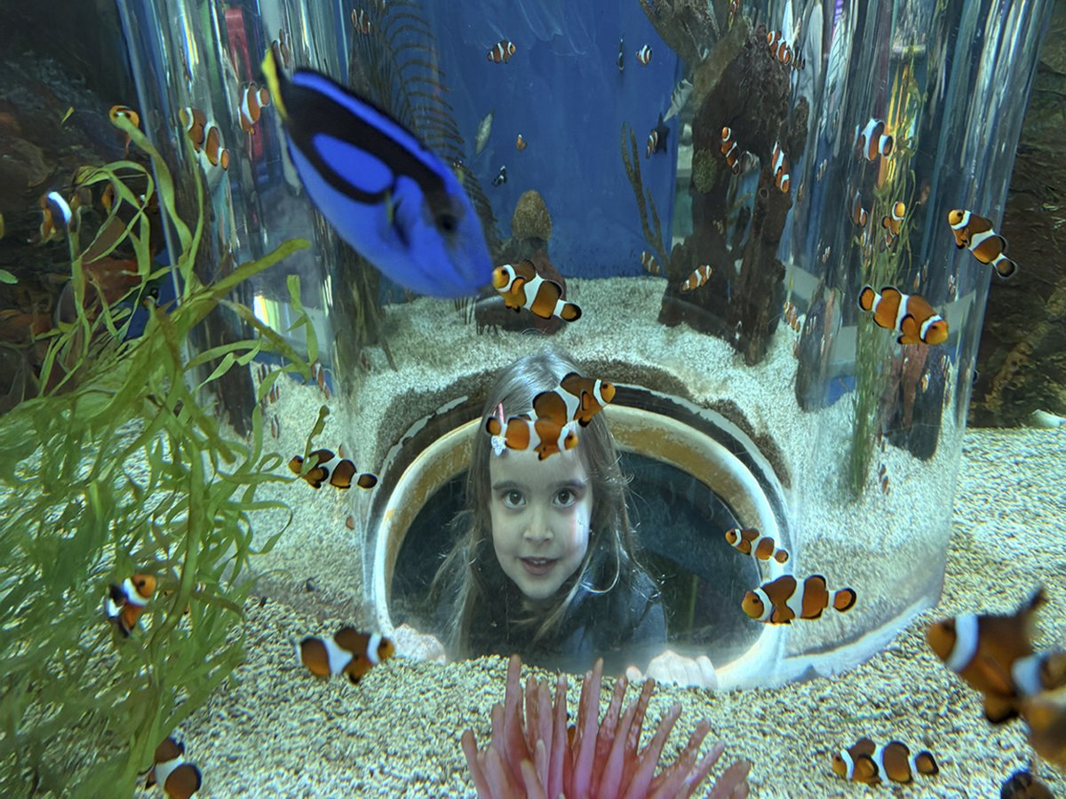 Clayton-Bradley Admy tweet media