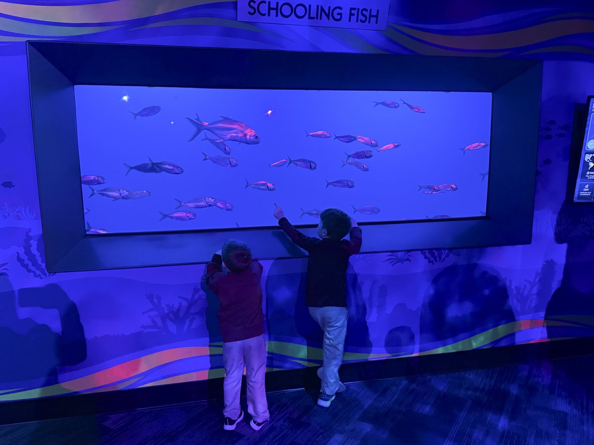 Clayton-Bradley Admy tweet media