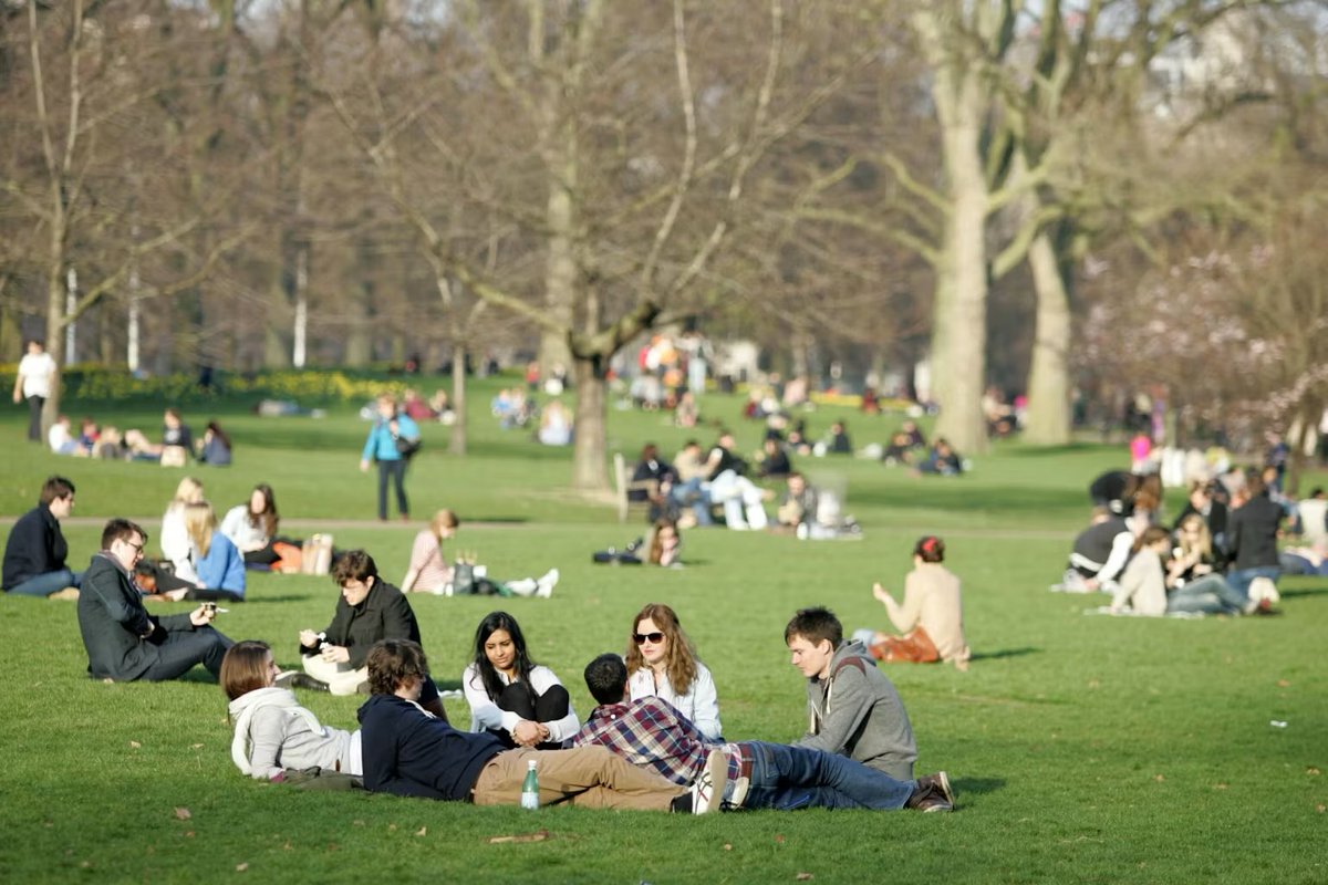 @ratlimit tweet media