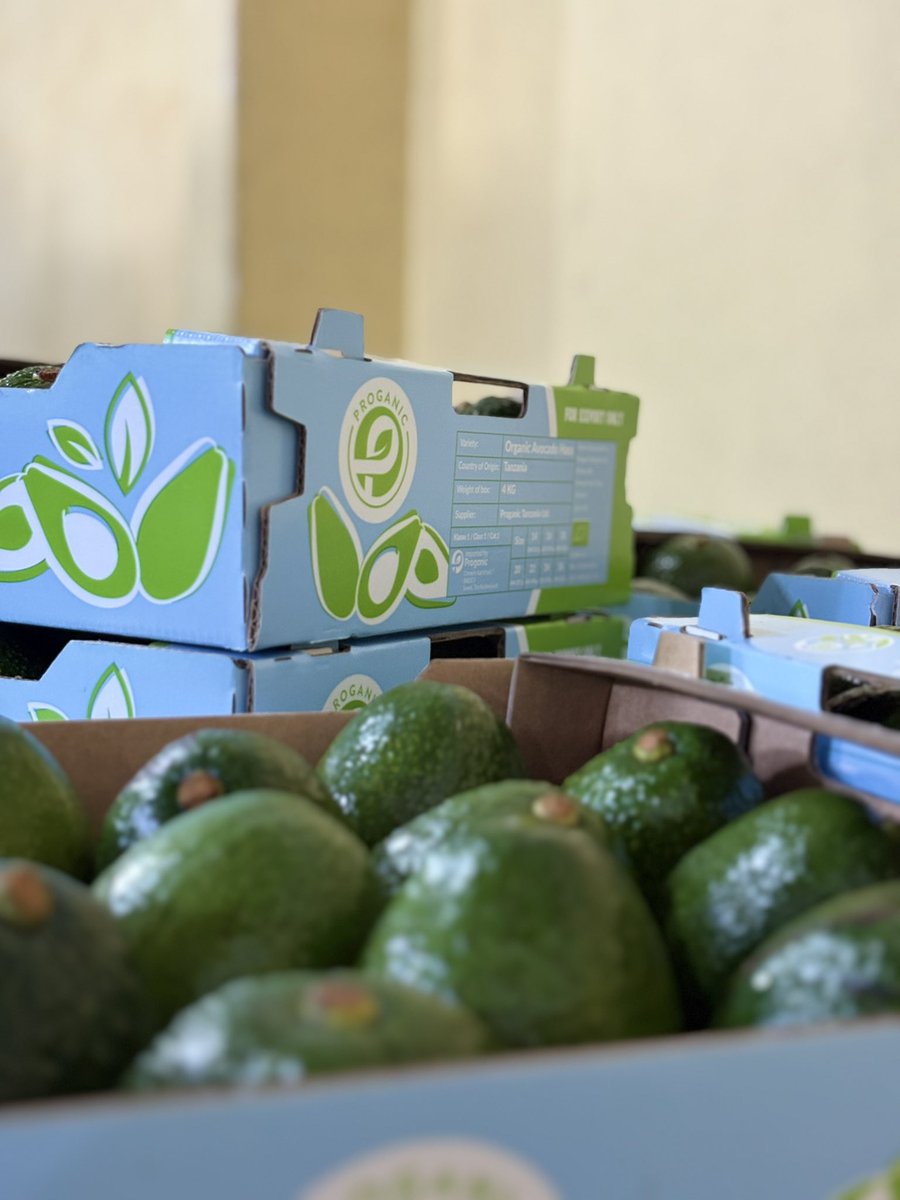 officialDrHerry's tweet photo. Organic professionals 🥑🥑… Proganic Tanzania Ltd, The only producers and exporters of Organic avocados to EU. Quality is not an optional https://t.co/EarNbfNimK