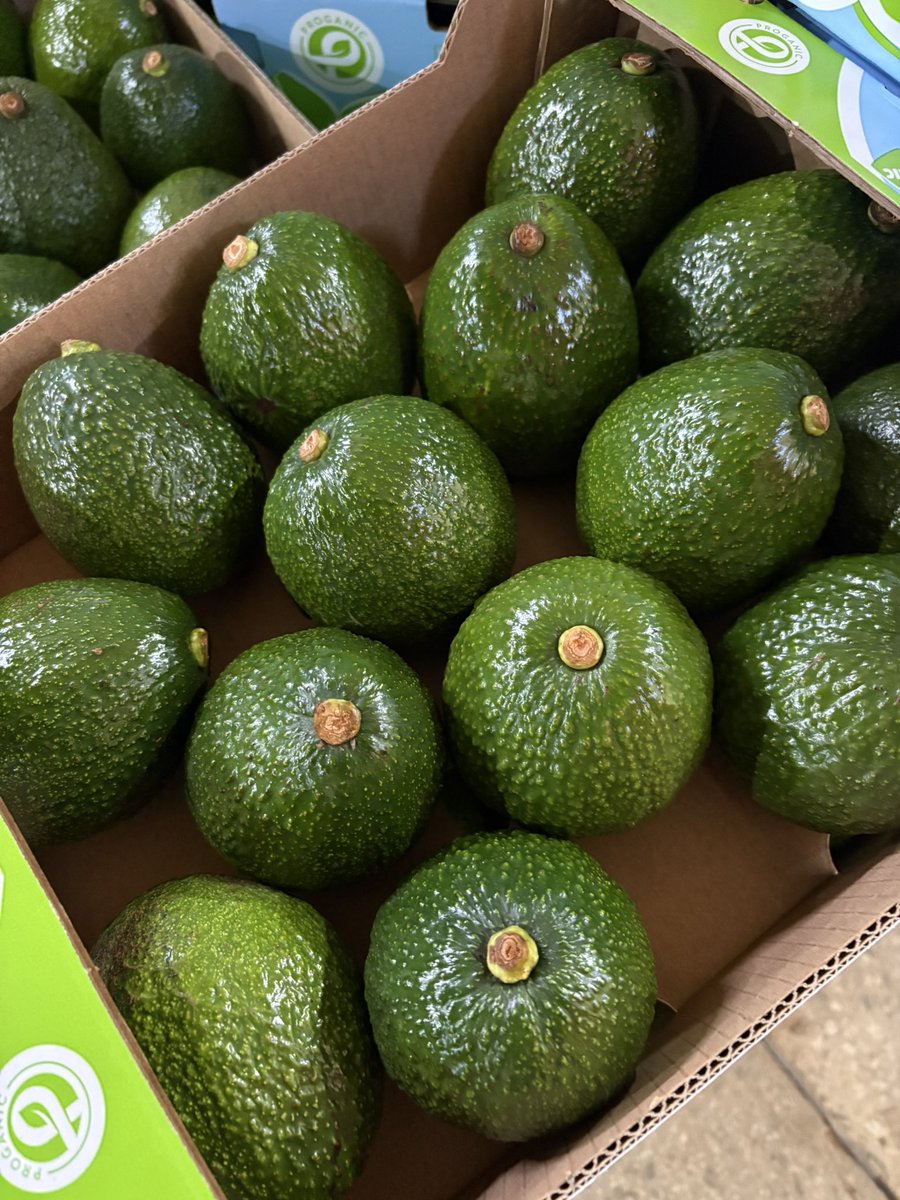 officialDrHerry's tweet photo. Organic professionals 🥑🥑… Proganic Tanzania Ltd, The only producers and exporters of Organic avocados to EU. Quality is not an optional https://t.co/EarNbfNimK