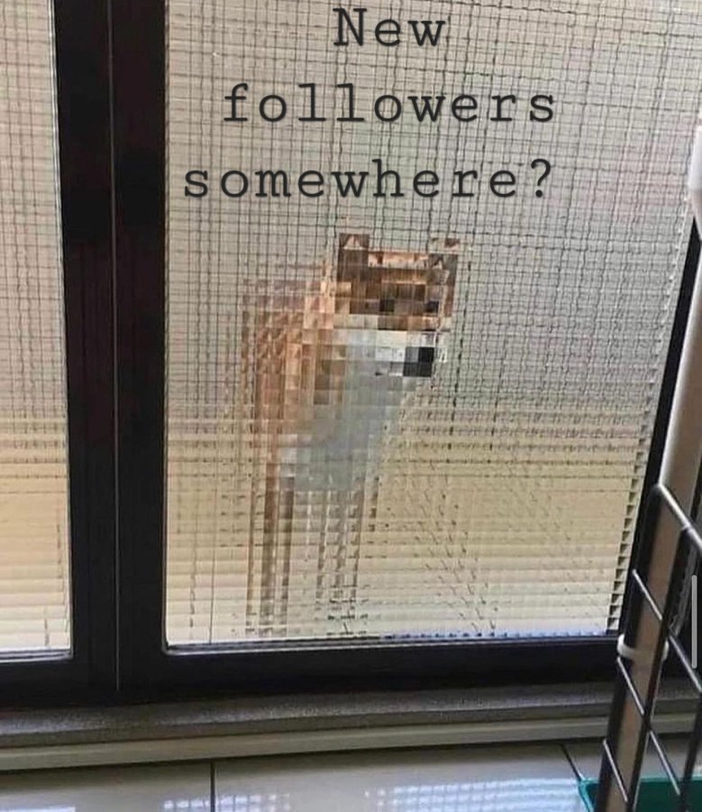 Silra Fella tweet media