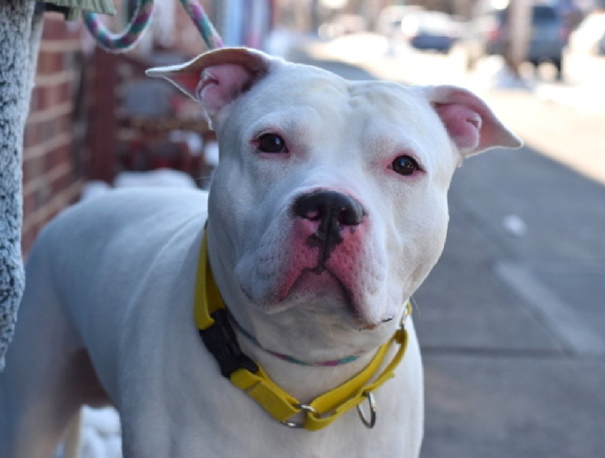 Julie🌻🐾 tweet media