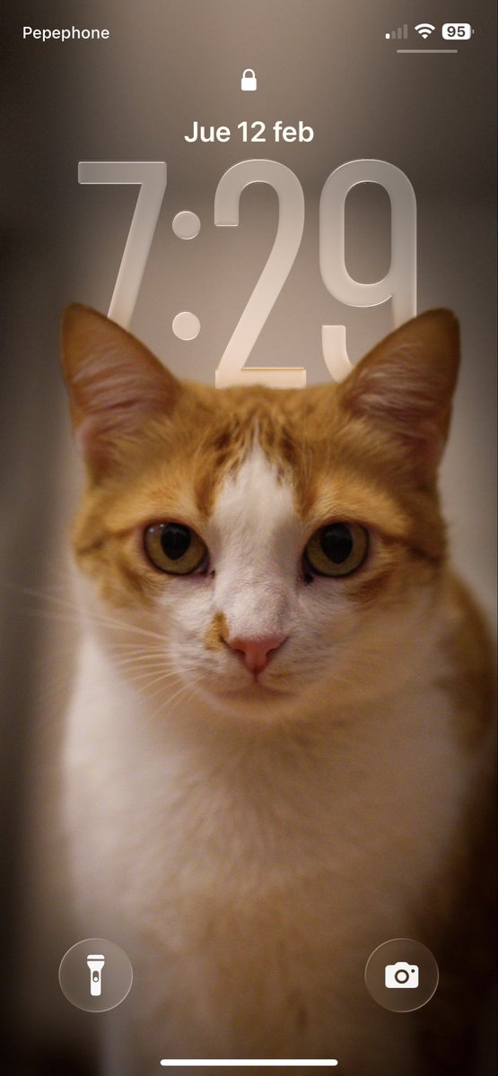 Mi CHIKItina tiene una úlcera en un ojo provocada por un herpes con el que con el conivive desde que la adoptamos, pero estaba en estado latente. El lunes la operan y yo nunca imaginé que podía sentir una preocupación parecida a la que siento cuando mis hijas están enfermas  🥺