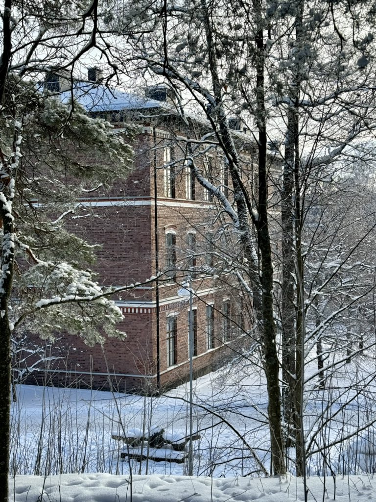 Vincent Roy-Di Piazza tweet media