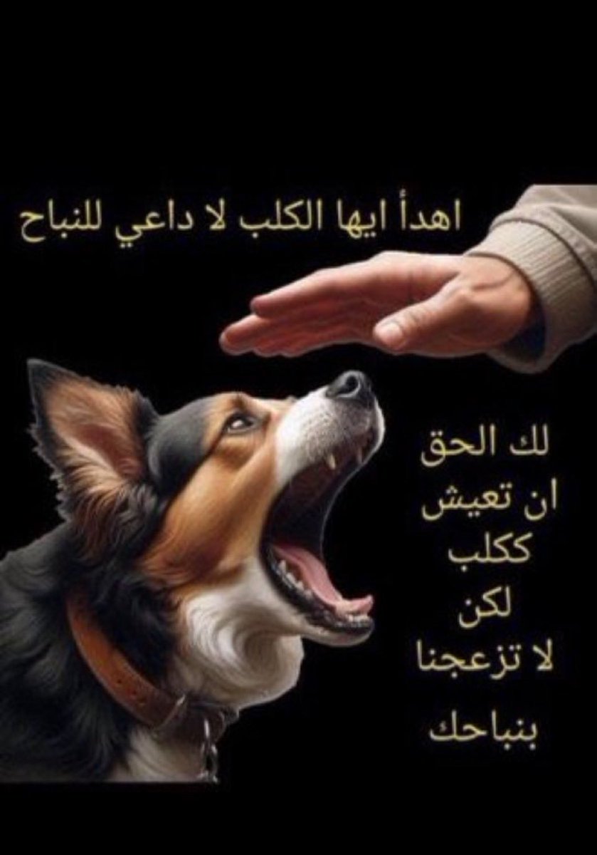 Ahmed al Ghamdi tweet media