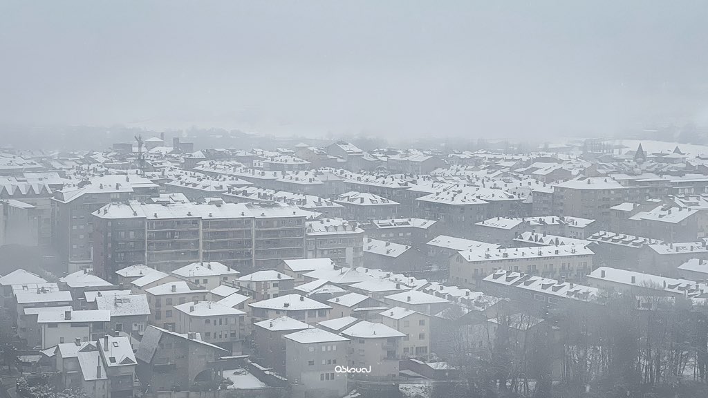 Marc Obiols © tweet media