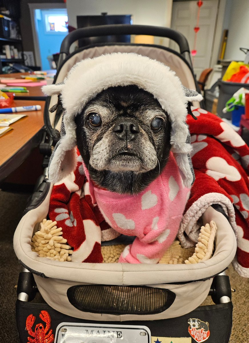 Mister Pemberton tweet media