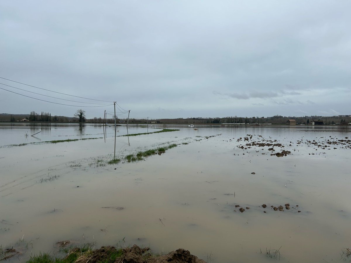 Image de Préfet Nouvelle-Aquitaine et Gironde - #Vigilance crues en Gironde | Les crues de la Garonne girondine ont fragilisé  les digues sur ce tro
