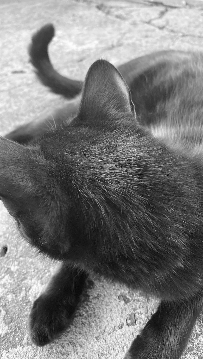 destroyalways's tweet image. 