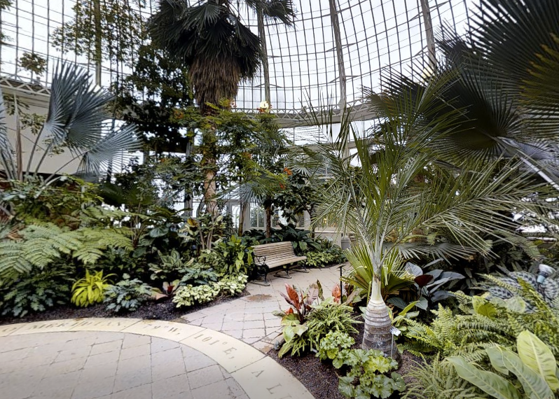 Lubbock ISD Tech Tips tweet media