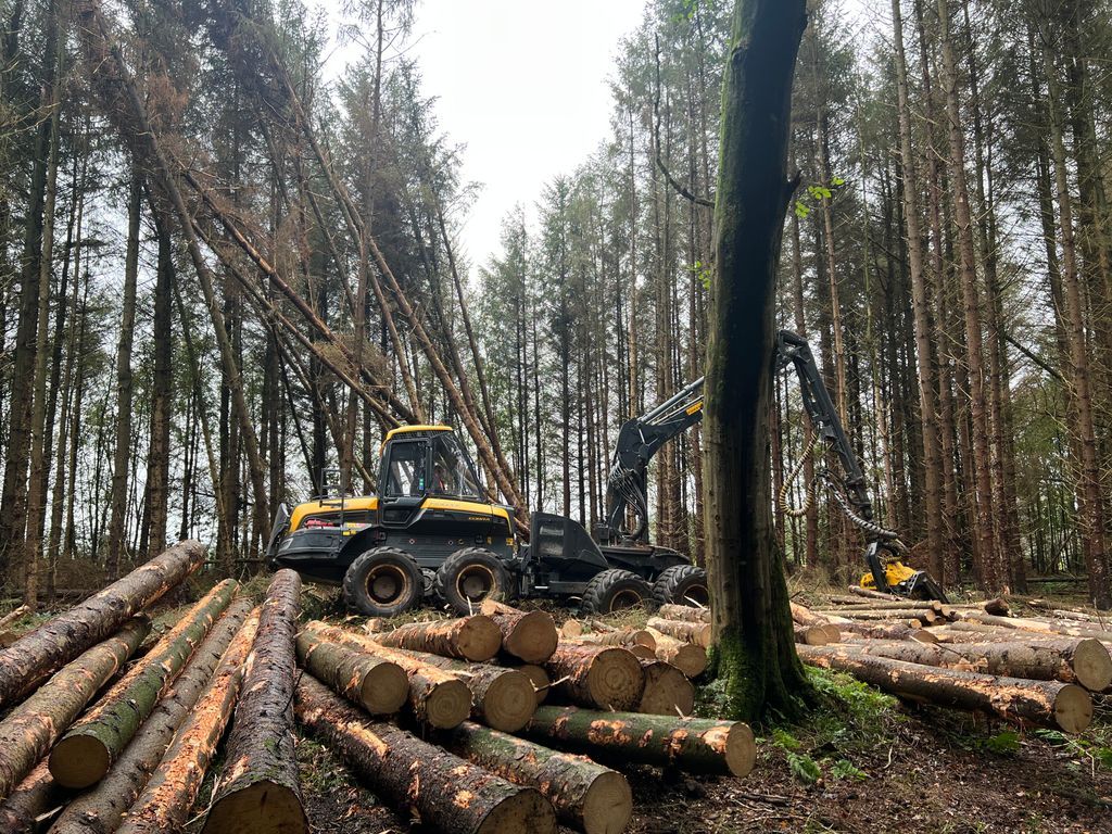 Institute of Chartered Foresters tweet media