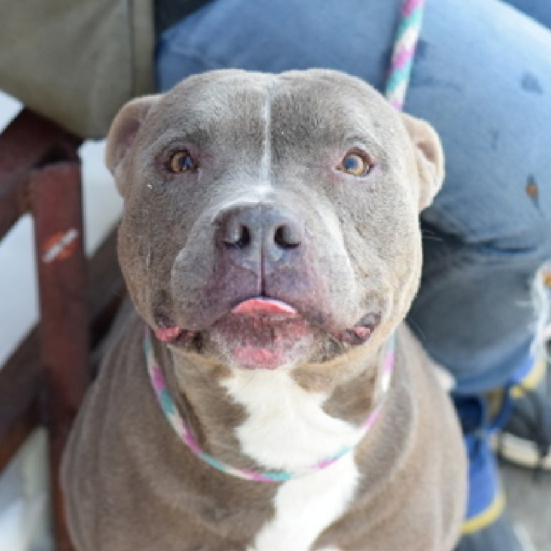 Julie🌻🐾 tweet media