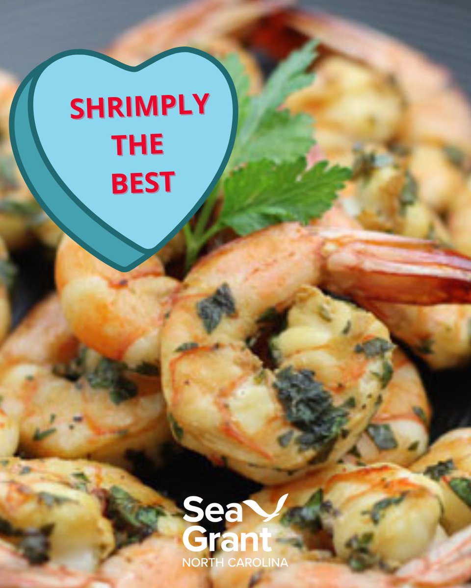 NC Sea Grant tweet media