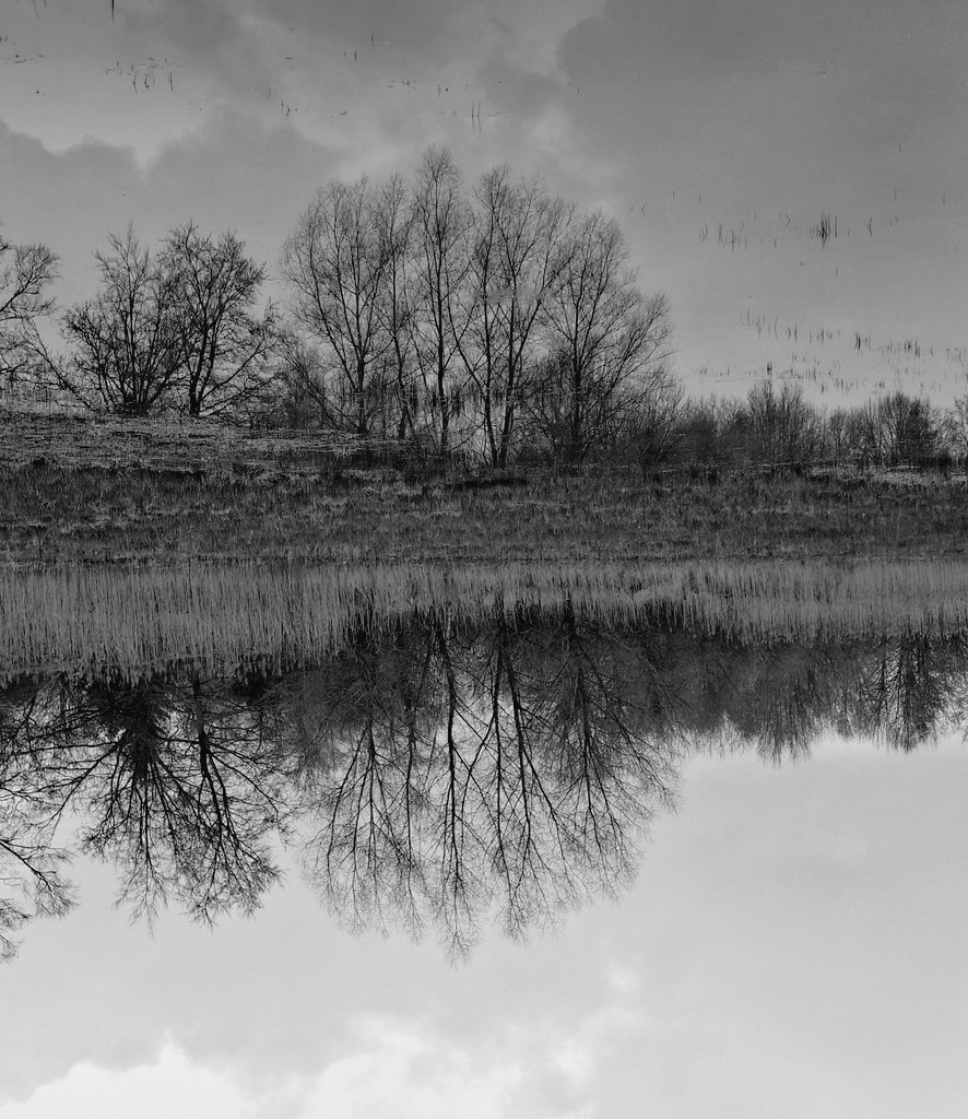 Ruth van S. tweet media