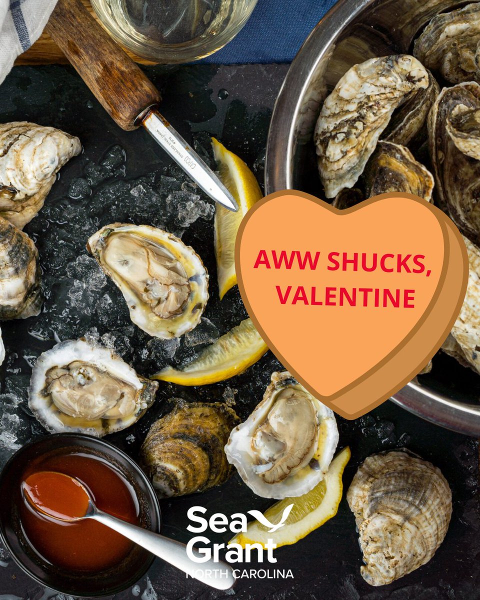 NC Sea Grant tweet media