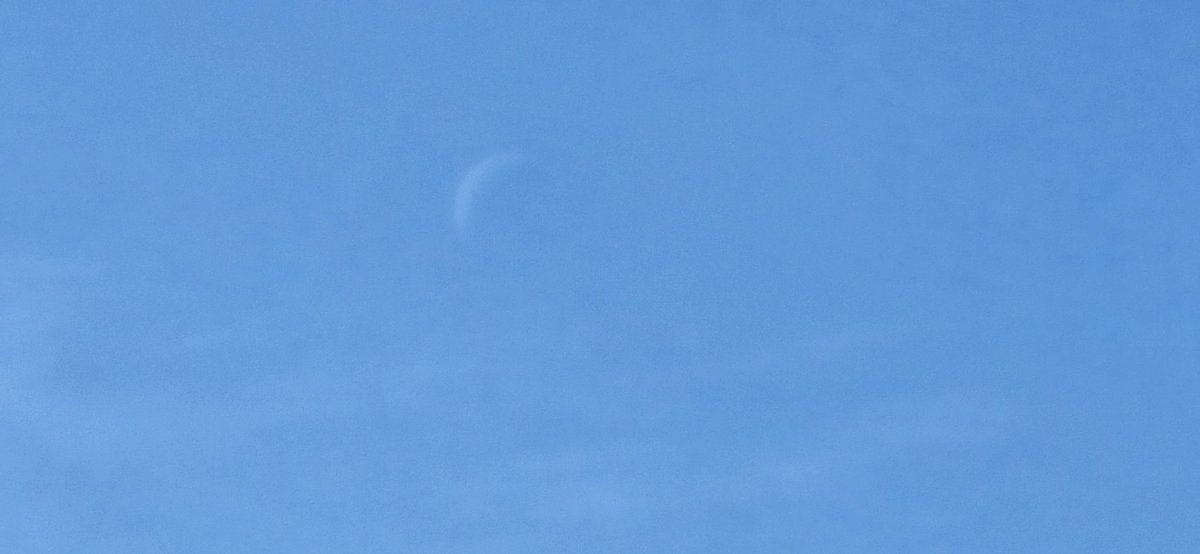 11🙃11
Found the moon kissing the sun again. 
These two have some explaining to do..