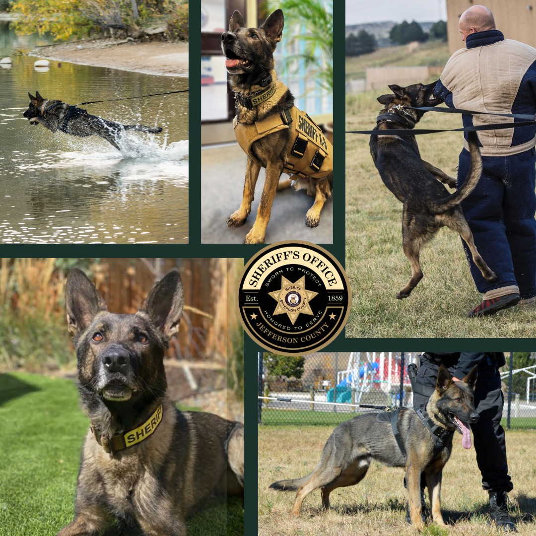 Jeffco Sheriff tweet media