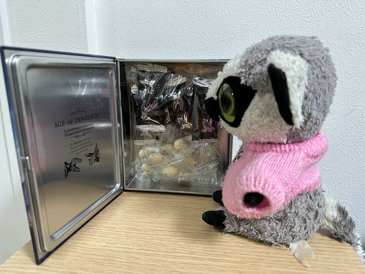waotaro1's tweet photo. わおたろばれんたいんもらつたよ！きようりゆうさんのほん！なかにちよこれーとがはいつてたよ！ https://t.co/2I2bECbXGD