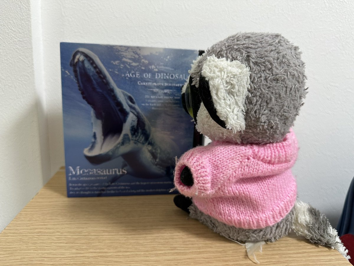 waotaro1's tweet photo. わおたろばれんたいんもらつたよ！きようりゆうさんのほん！なかにちよこれーとがはいつてたよ！ https://t.co/2I2bECbXGD