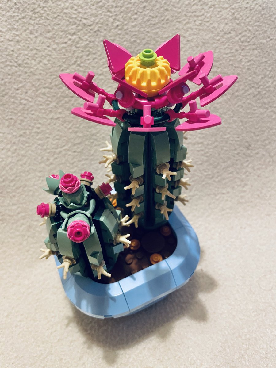My OH knows that I don’t do Valentines Day. It’s even more unacceptable to bring flowers into the house. However, the 10yr old child in me is perfectly happy to accept this as a gift! Best fun I’ve had in ages! Especially when I killed my real one last year! #LEGOBotanicals 😂👍🏻