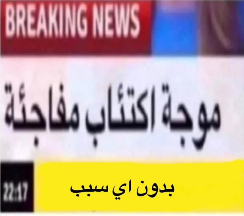 ميمزاوي باشا tweet media