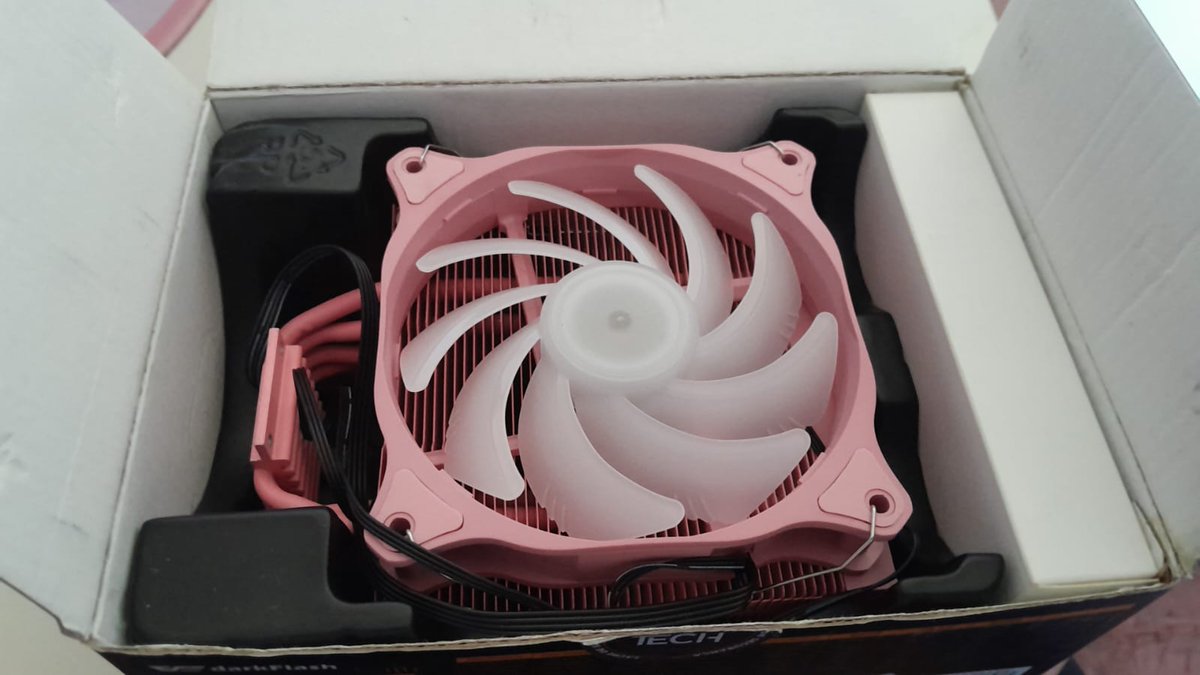 hedones da nana 🇮🇹 !! tweet media