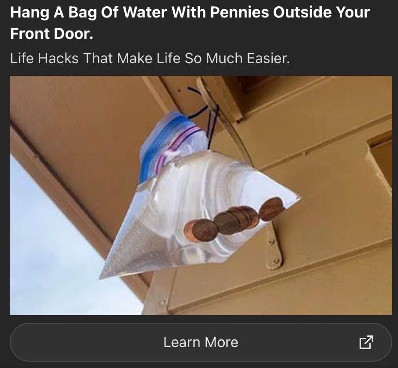 Jen Gentleman 🌺 tweet media