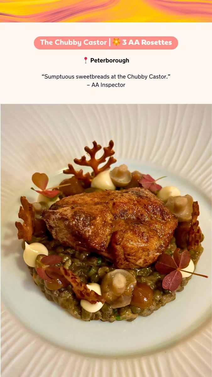 AARatedTrips's tweet photo. The Chubby Castor | 🏵️ 3 AA Rosettes |
📍Peterborough
“Sumptuous sweetbreads at the Chubby Castor.” – AA Inspector
Take a look 👉 https://t.co/xPL6WrbnzX
@chubbycastor #AArated #AARosettes https://t.co/vLhvaCGZW5
