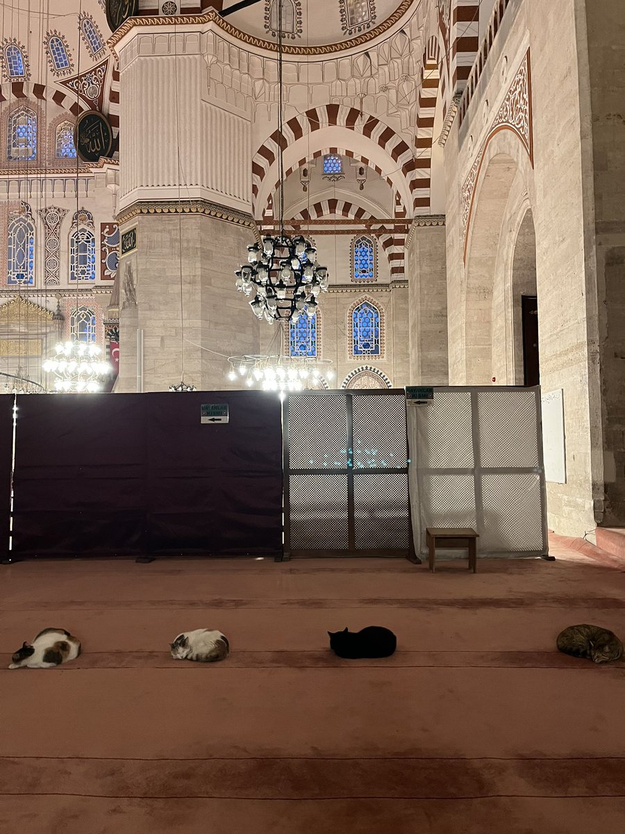 Şehzadebaşı, akşam cemaati.