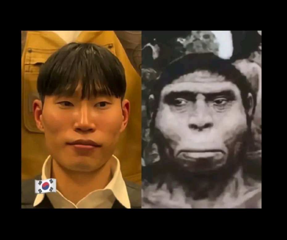 CandyJoy 🍭 tweet media