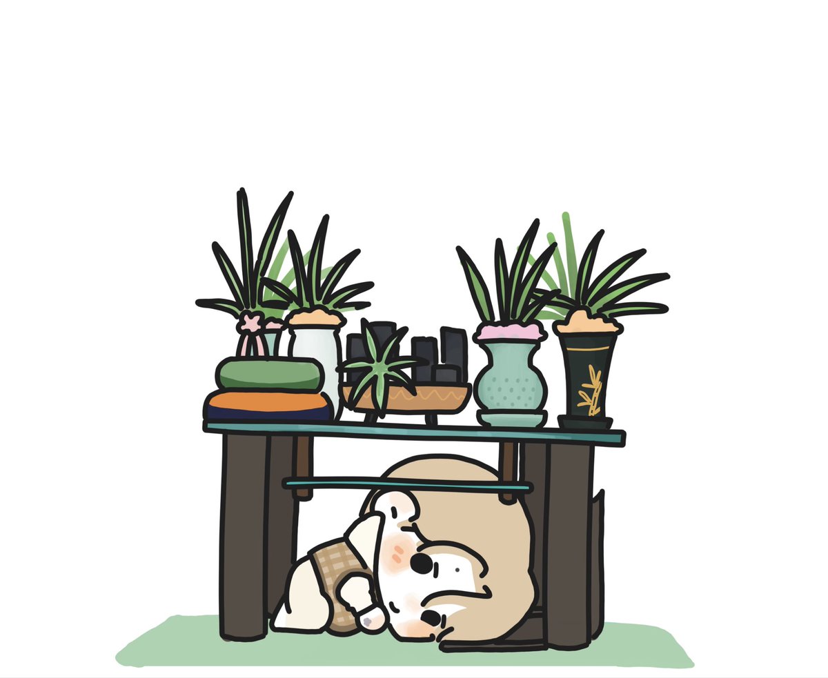 므깅 (@onyu1013276) on Twitter photo 