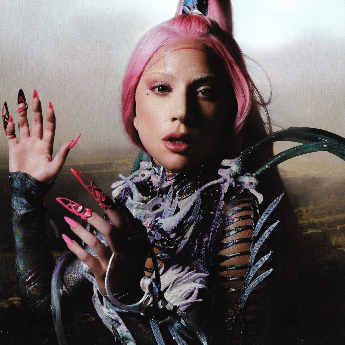 MAYHEM (48) has now spent more weeks than Chromatica (47) on the FIMI Albums chart. 🇮🇹